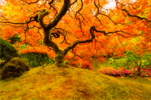 Item #76520037759539226060557440390791593965798560747131702969488638276388142448641 Media