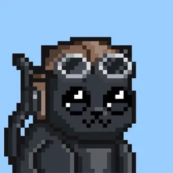 Nooncatz #18