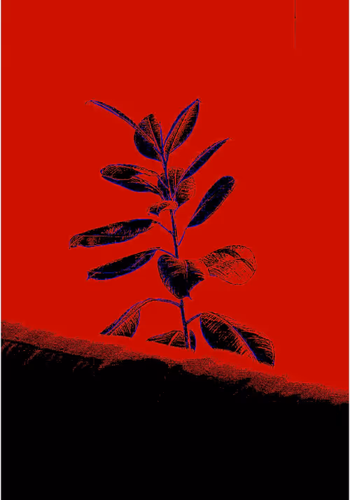 Item #72279480364068391208506343912553113093471189408088297114136885246680446797776 Media