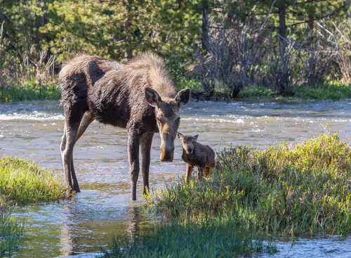 Item #19207338348144225692080396183640865546201068415206893468727031833273676333057 Media