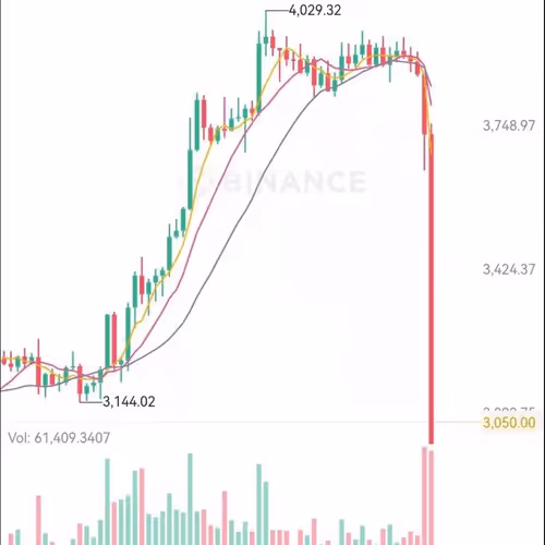 PixelMashiro Collection