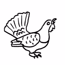Grouse 