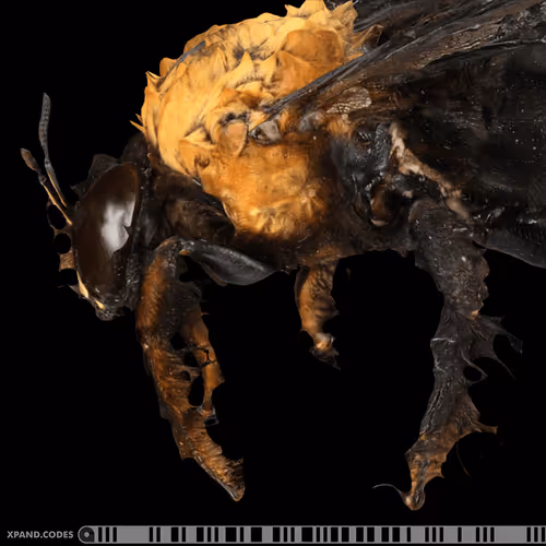 Item #58963443345665771353505984304139328775102797162935968682550101698952887795713 Media