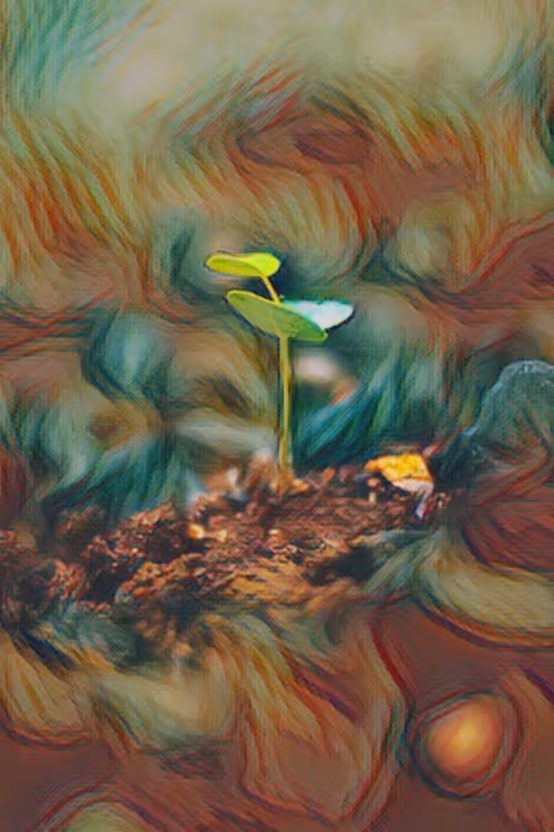 Item #81432545647000425324263784989265008007621652309646222317646499349083946221569 Media