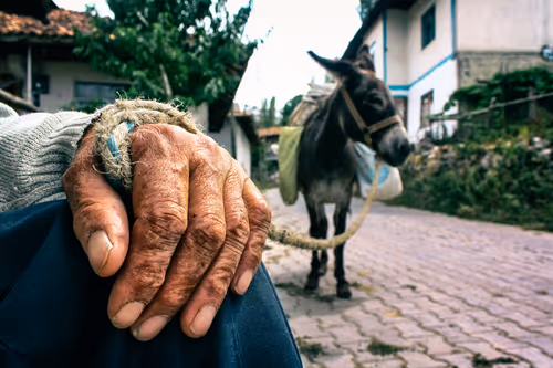 Item #21360135595636761708002264298030741123237362591555506440031731757076621295617 Media