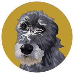 54766349128176429303044182404049584425310907481653304317570413860563588218881