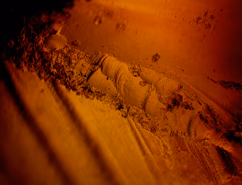 Item #71646257518770613568983710813551014237803002136866425209291834582646959112193 Media