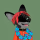 19837925893051687877428153628577496176440328037722111472297299842069193293825