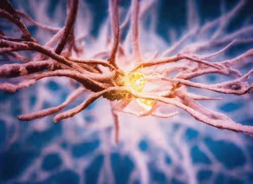 Item #98695163844141812296559601516468632585703412525772017875852753159307810308097 Media