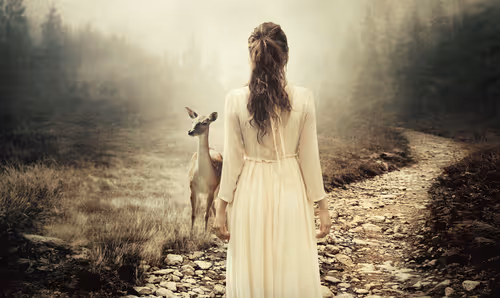 Item #106458335248206439208009711256162525966669270428378996630819471350574560051201 Media