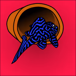 81664083123670143983968740139941474364733981378414170565535210616435484131329