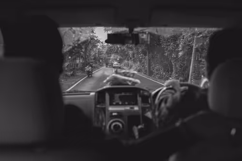 Item #95633765474931350240165697288740384276668175365753332134829565090436095148033 Media