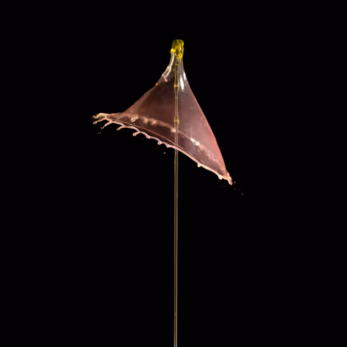 Item #93843816189578981246560604655943518308185846623120940061859981529913847971841 Media