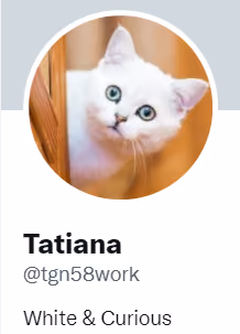tgn58work Collection