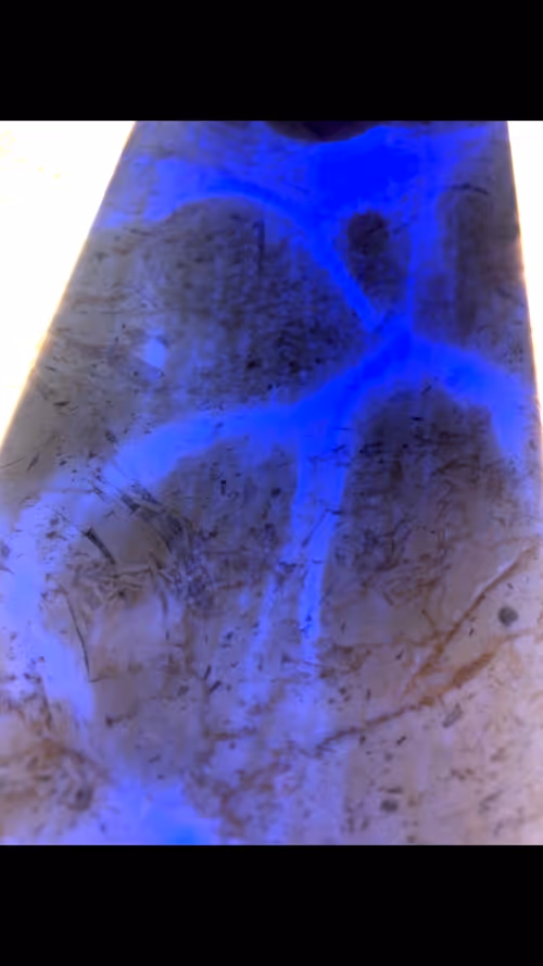 Item #108775214433073679785252007198929589715547369745780425038060764556011692359681 Media