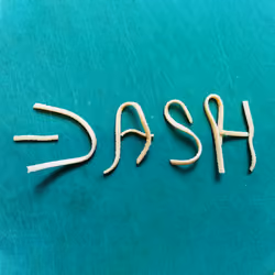 Dash to the Moon