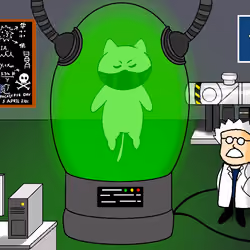 CHAPTER 1 : CAT LAB