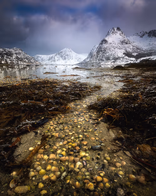 Item #28682539069684656541734828821976802711290237176293642286881478789059672276993 Media