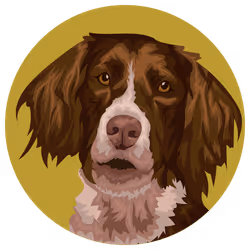 54766349128176429303044182404049584425310907481653304317570414004599611457537