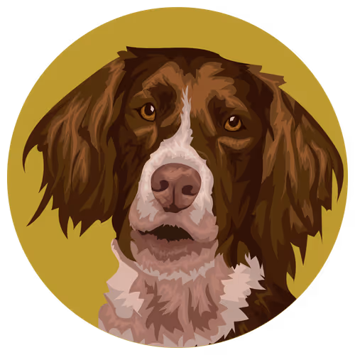 Item #54766349128176429303044182404049584425310907481653304317570414004599611457537 Media