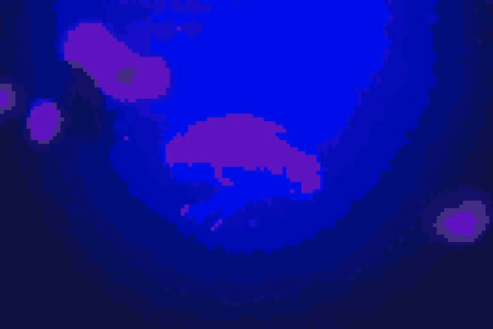 Expanse