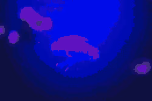 Expanse