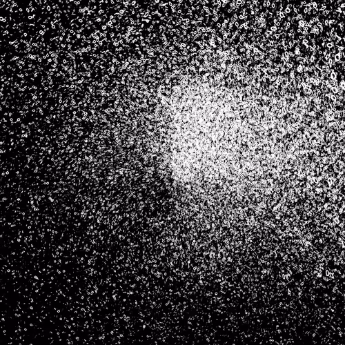 Ruthfull fby Chaos Algorithm