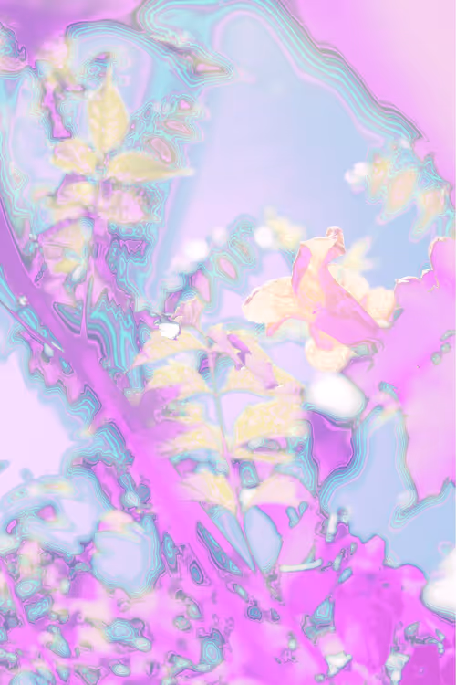 Item #27434377377013038178664737441891876800279773627045091571206927094520702042113 Media