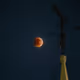 Eclipsed Night