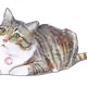 93781736849466497148134182872270642669354767492174499067024584692793843122177