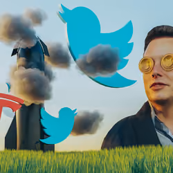 Elon Shit