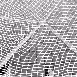 Webbed Blowout Black & White