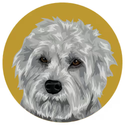 54766349128176429303044182404049584425310907481653304317570414000201564946433