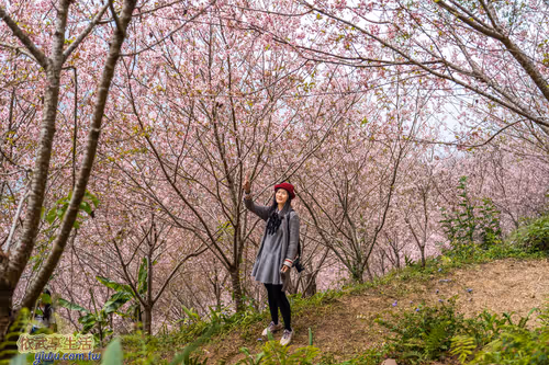 Item #100744422725674417057824683306763013505668843176654858816283484014295885283329 Media