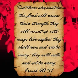 38709541401652465001399013235077350118197148033488468632614324392008307703828