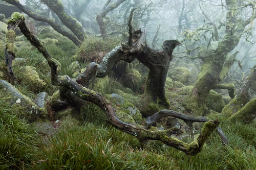 Item #72639390708267126639436568569652760193401123475841185469851730341216166871041 Media