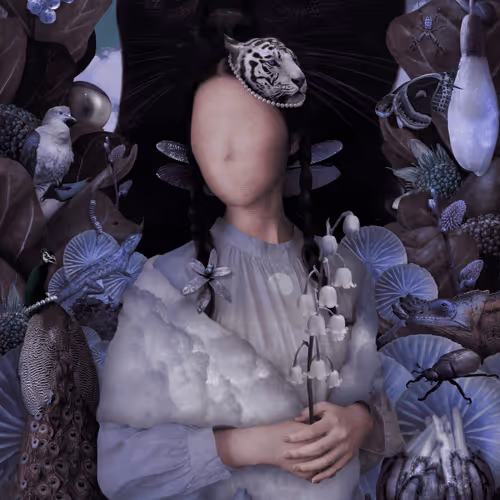 Collage Dreamland