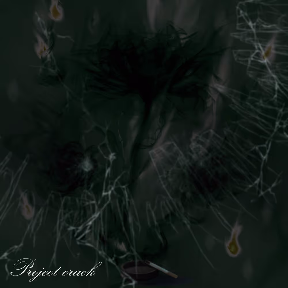 crackno1