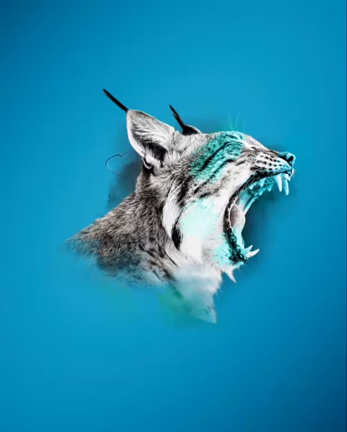 Item #59088353916634911645199901135540098457890710800918991321684793752504045142019 Media