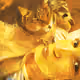100489395697182744770352613024173432427031900976763493779699041941450796302337