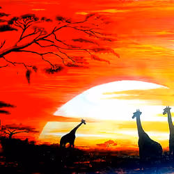 Sunrise over the Maasai Mara