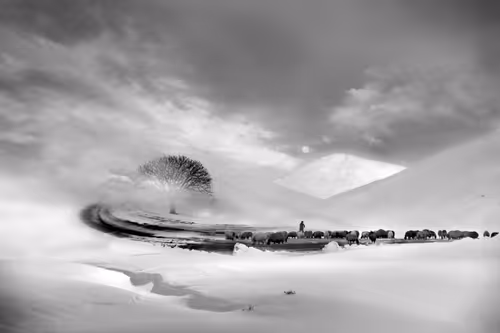 Item #73363223370355250909196244140857466626496998110185198638772903931224029921281 Media