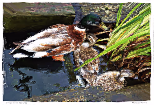 Item #6968899724388266606176016145545160509277227480062482001621938707355385462884 Media