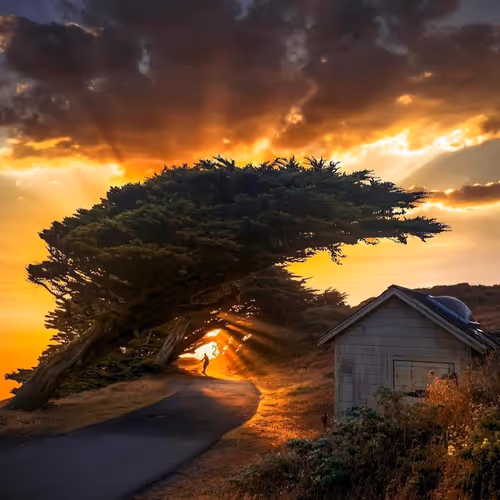 Untitled Collection #4224301756