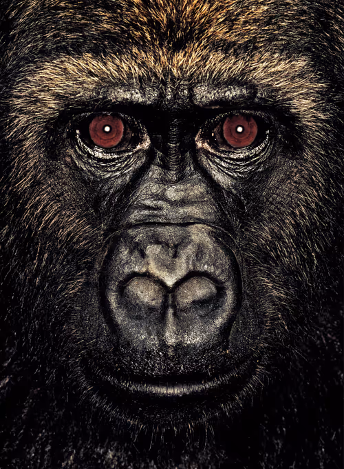 Item #109162157552346088047496633038404394118504199992061596446112929749166198882305 Media