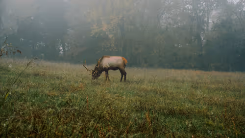 Changing of the Seasons Across America and Canada