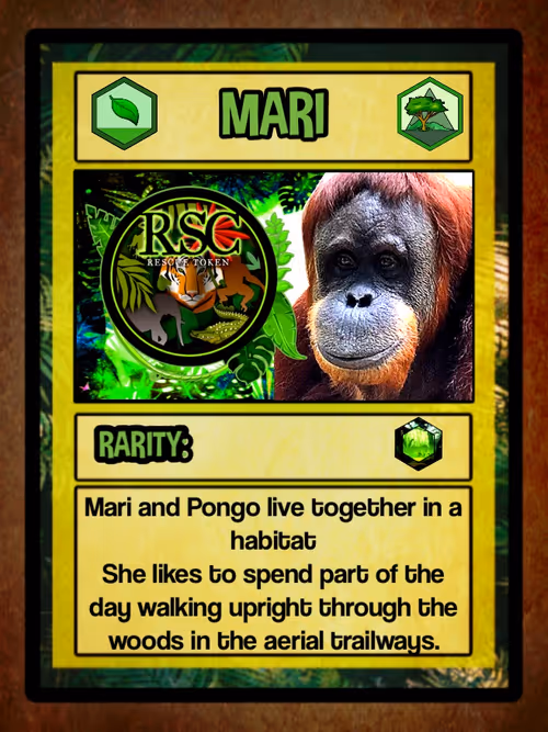 Item #23677228693604097603169999339602269095537618386014397005573117047157941075971 Media