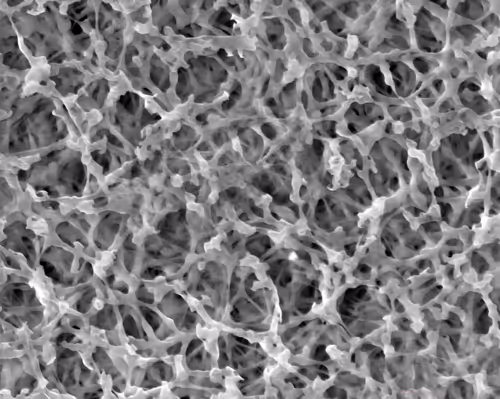 Item #22177301469207423034343584871570086378673375420367340164683847225370640121857 Media