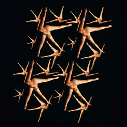 64937308923702188921050477922985568255563615287509163663175392139733125562369