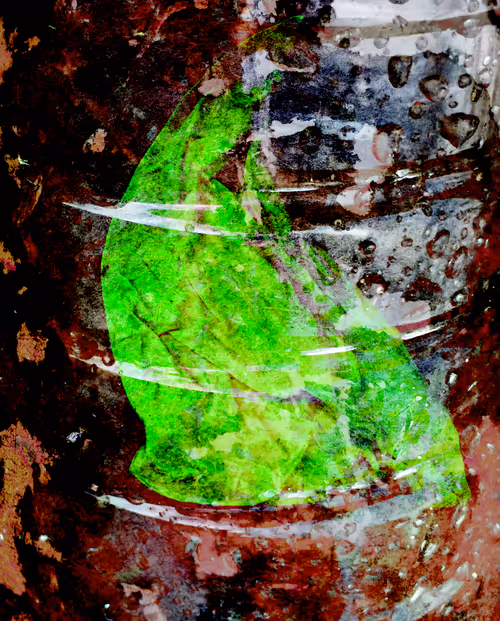 Item #58312433631864427601172952075011378080943056977712016653169188491821253132289 Media